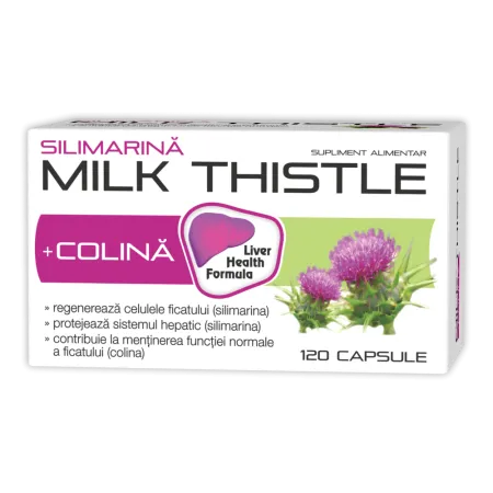 Milk Thistle + Colina, 90 capsule + 30 capsule, pachet economic, Zdrovit