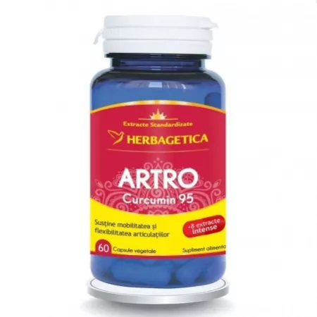Artro Curcumin95, 60 capsule, Herbagetica