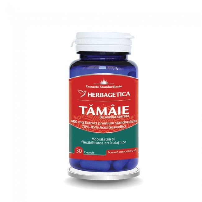 tamaie30-min.jpg