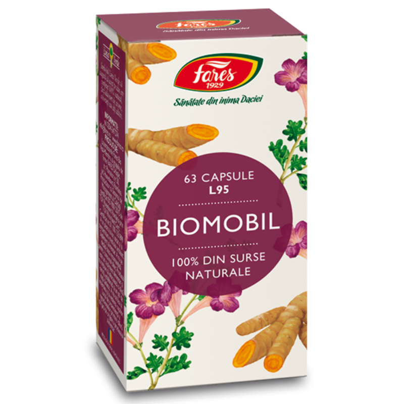 biomobil-l95-63-capsule-fares-8027.png