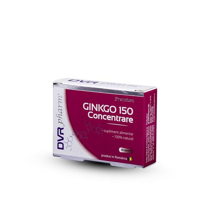 Gingko-Concentrare.jpg Gingko-Concentrare.jpg