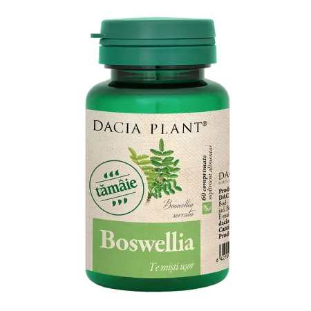 Boswellia, 60 capsule, Dacia Plant