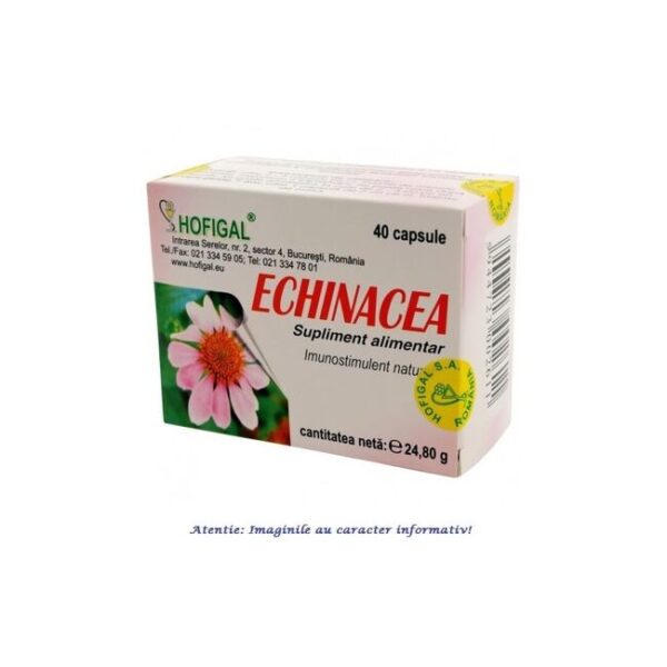 Echinaceea 500mg, 40 capsule, Hofigal