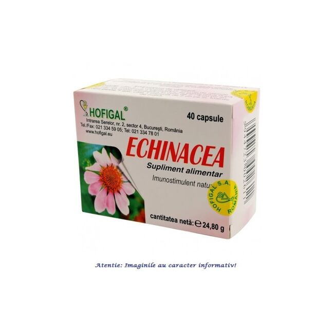 echinacea_hofigal.jpg echinacea_hofigal.jpg