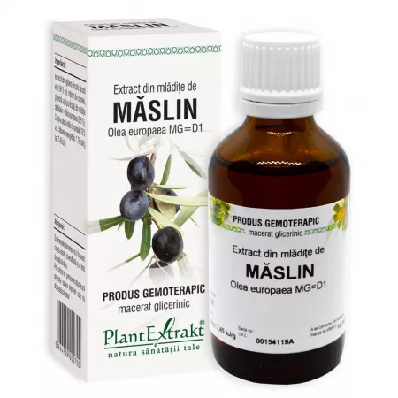 Extract mladite maslin, 50ml, PlantExtrakt