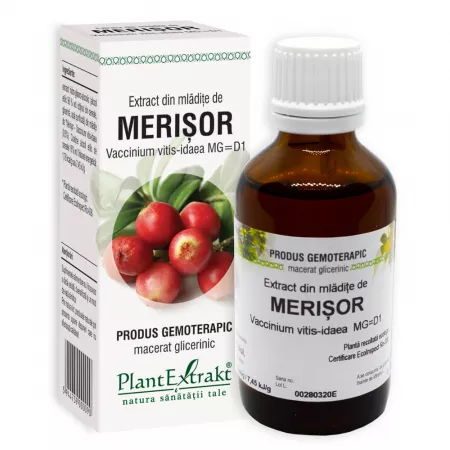 Extract mladite merisor, 50ml, PlantExtrakt