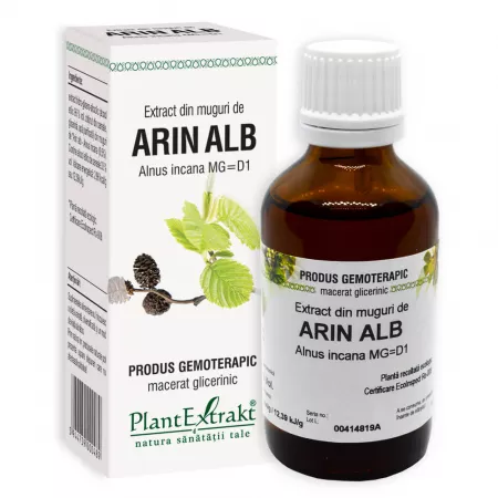 Extract muguri arin alb, 50ml, PlantExtrakt