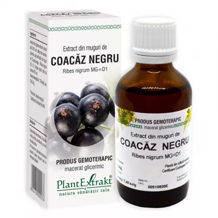 Extract muguri coacaz negru, 50ml, PlantExtrakt