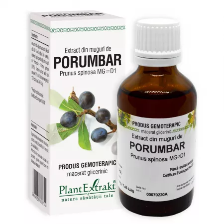 Extract muguri porumbar, 50ml, PlantExtrakt