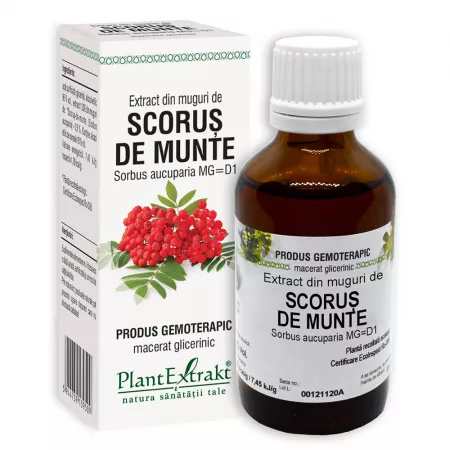 Extract muguri scorus, 50ml, PlantExtrakt