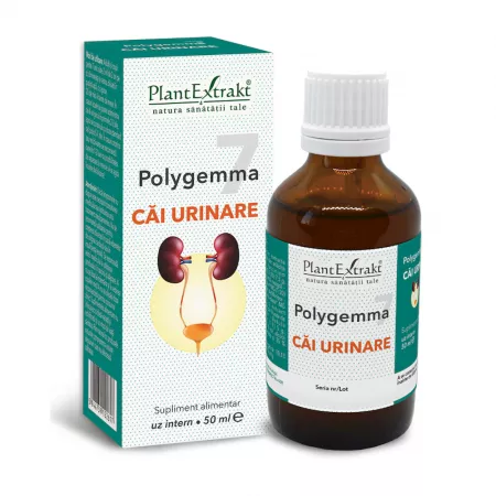 POLYGEMMA NR. 7 Cai urinare, 50ml, PlantExtrakt
