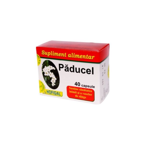 Paducel, 40 capsule, Hofigal