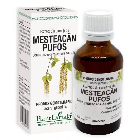 Extract din muguri de Mesteacan pufos, 50ml, PlantExtrakt