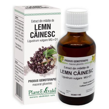 Extract din mladite de Lemn cainesc, 50ml, PlantExtrakt