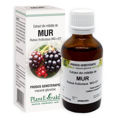 Extract din mladite de Mur, 50ml, PlantExtrakt