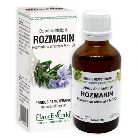 Extract din mladite de Rozmarin, 50ml, PlantExtrakt