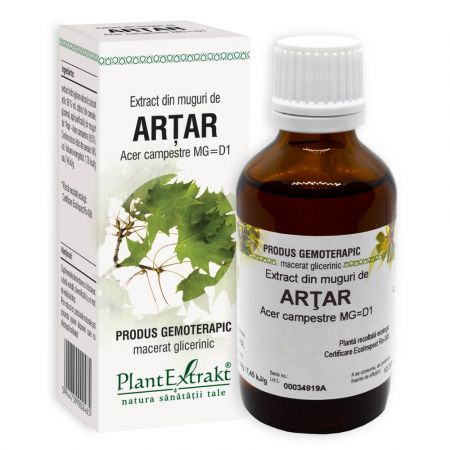 Extract din muguri de Artar, 50ml, PlantExtrakt