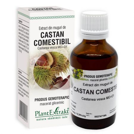 Extract din muguri de Castan comestibil, 50ml, PlantExtrakt