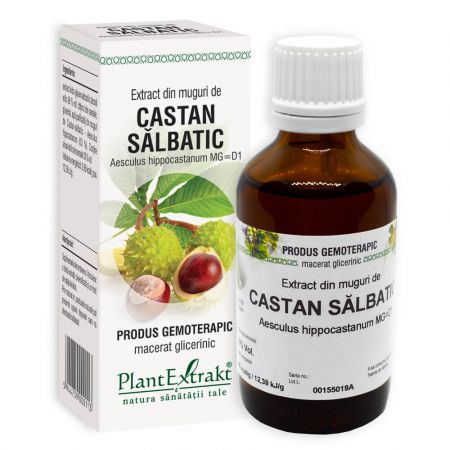 Extract din muguri de Castan salbatic, 50ml, PlantExtrakt