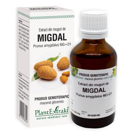Extract din muguri de Migdal, 50ml, PlantExtrakt