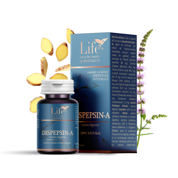 Dispepsin-A pentru digestie, balonare, arsuri gastrice si greata, 15 capsule, Bionovativ