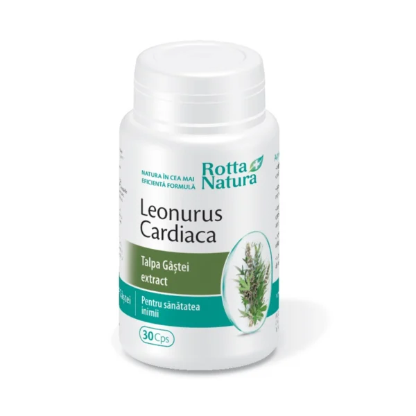 Leonorus Cardiaca ( talpa gastei extract), 30 capsule, Rotta Natura